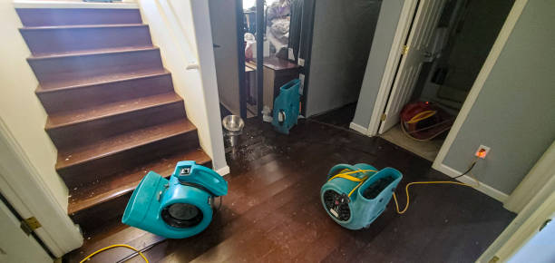 Best Ceiling water damage repair  in Ravena, NY