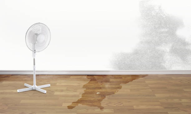 Best Emergency water damage restoration  in Ravena, NY