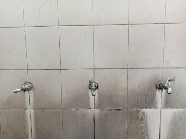 Best 24-hour water damage restoration  in Ravena, NY