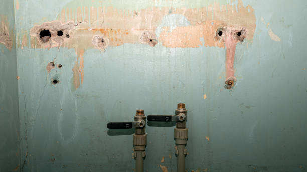 Best Water damage restoration near me  in Ravena, NY