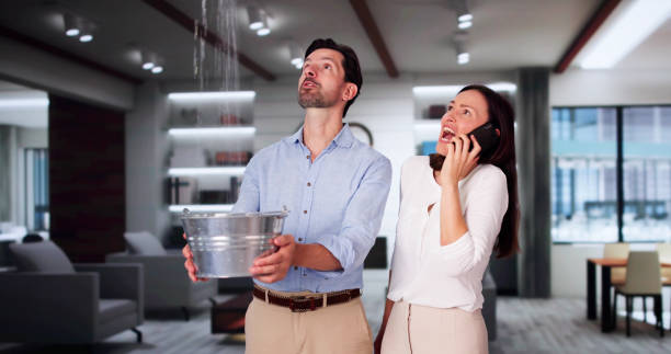 Best Basement water damage restoration  in Ravena, NY