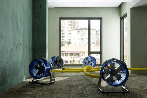 Best Sewage cleanup and water damage restoration  in Ravena, NY