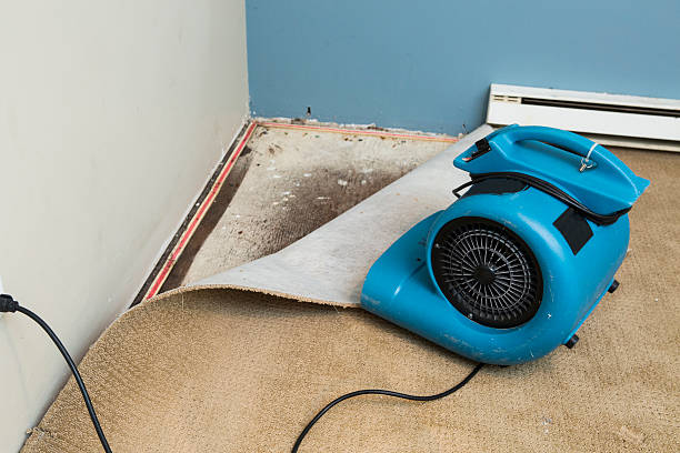 Trusted Ravena, NY Water damage restoration Experts